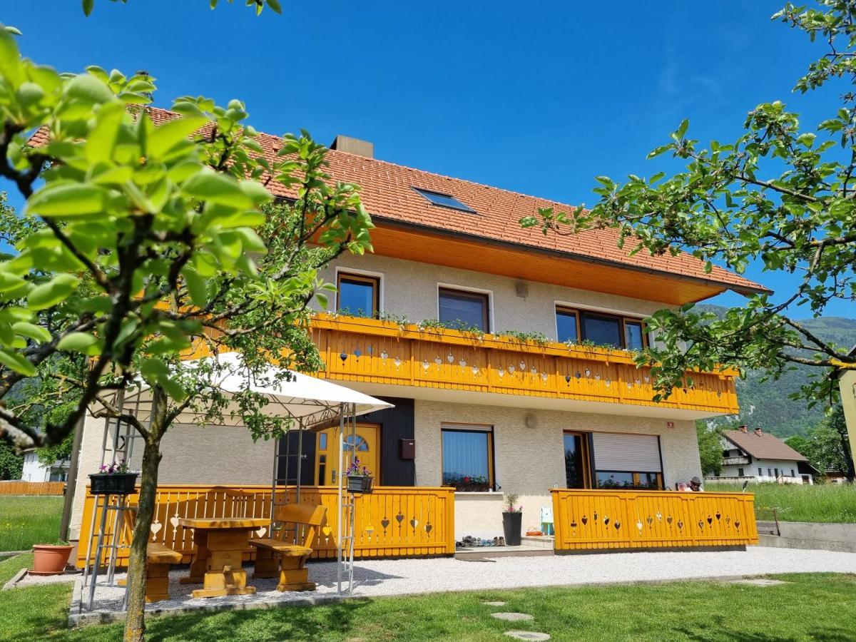 Apartma Ana In Manca Begunje na Gorenjskem Exterior photo